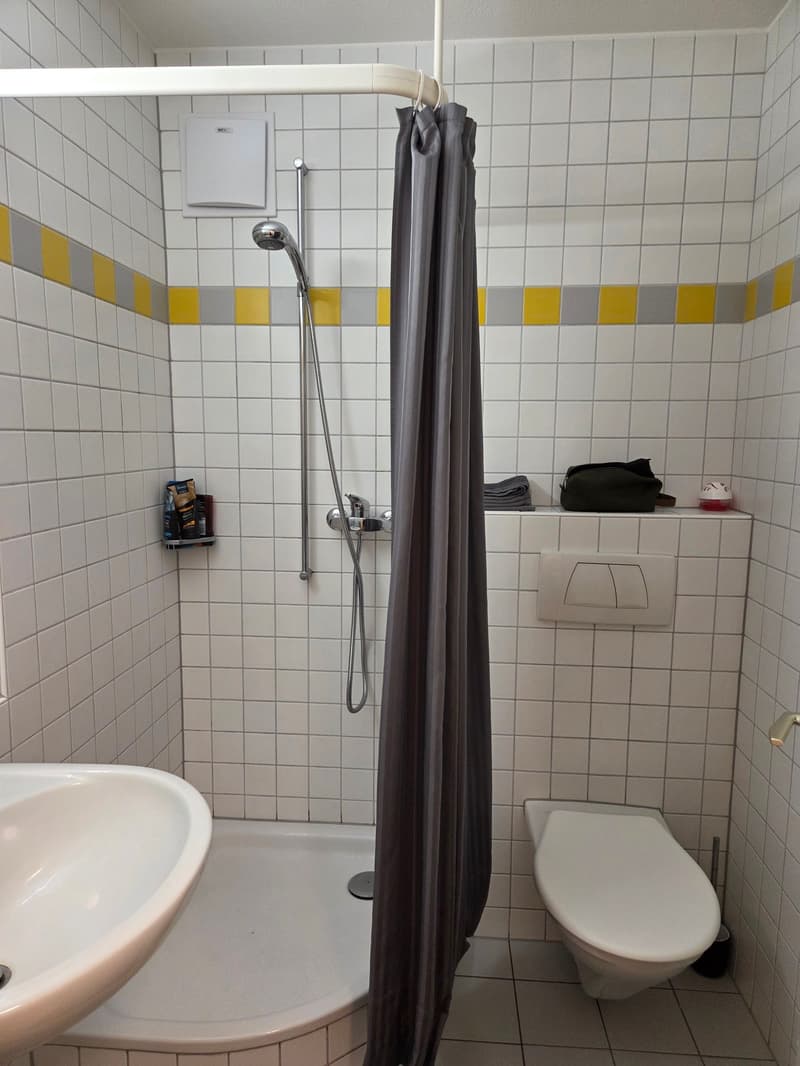 shower, toilet, sink, tiled walls, tiles, grey shower curtain