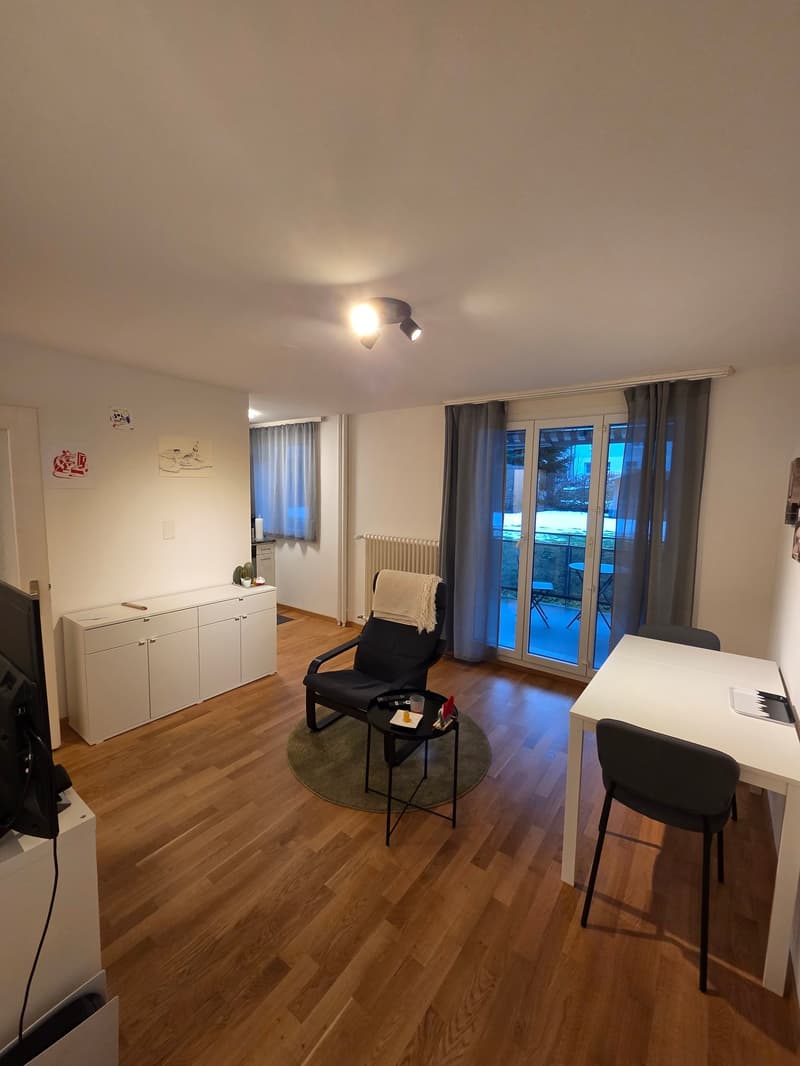 Wooden floor, sliding glass door, balcony, couch, radiator, table, chairs, TV