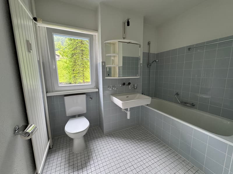 Bathroom: white toilet, white bathtub, white sink, gray tiles, mirror, window, handrail