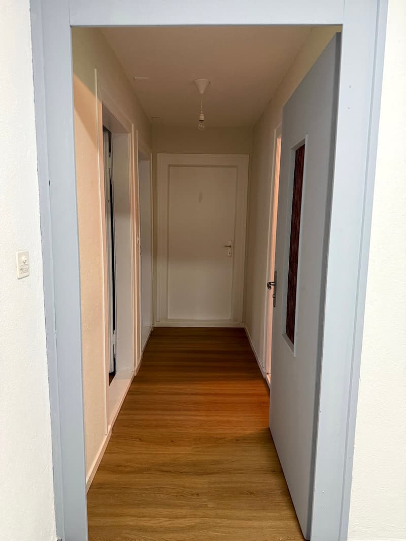 Empty hallway with wooden floor, white walls, and white doors.
