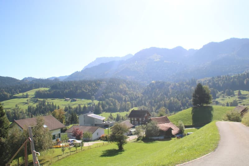Several houses in a valley, surrounded by grass and trees, with mountains in the background