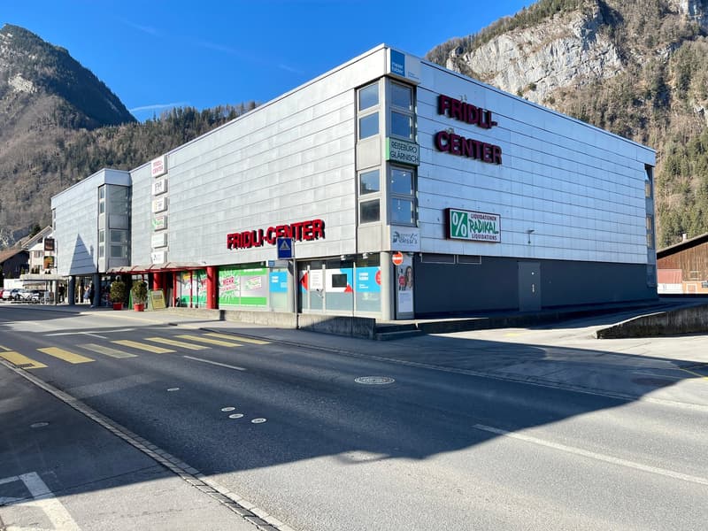 Large building with multiple signs, including 'FRIDL-CENTER', located on a street with mountains in the background.