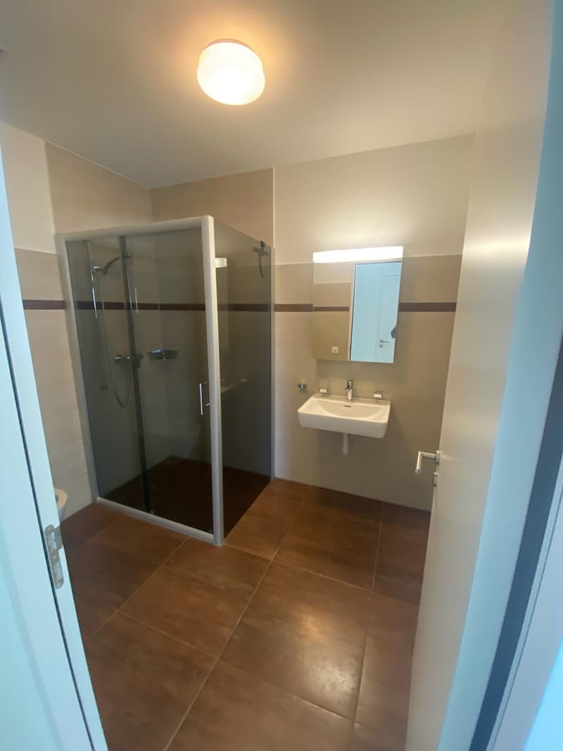 Helle 4.5-Zimmer-Wohnung in Felben-Wellhausen – ab sofort verfügbar! (8)