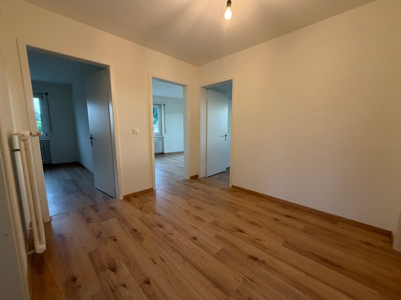 Renovierte 3.5-Zimmer-Wohnung in Zuchwil – sofort verfügbar! (11)