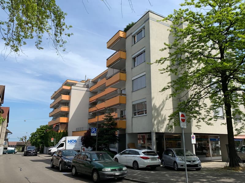 Moderne 1-Zimmer-Wohnung (4)