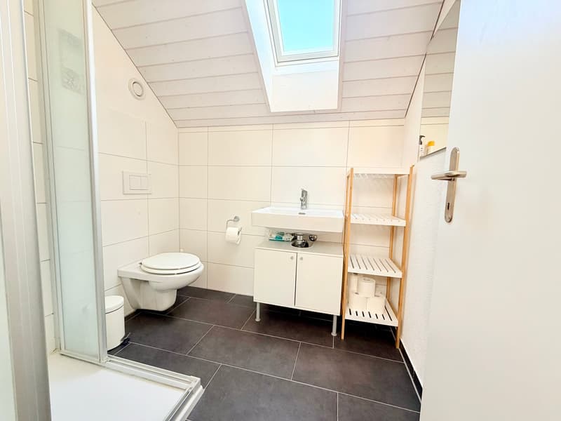 Lichtdurchflutete 4.5-Zimmer-Maisonette-Wohnung (9)