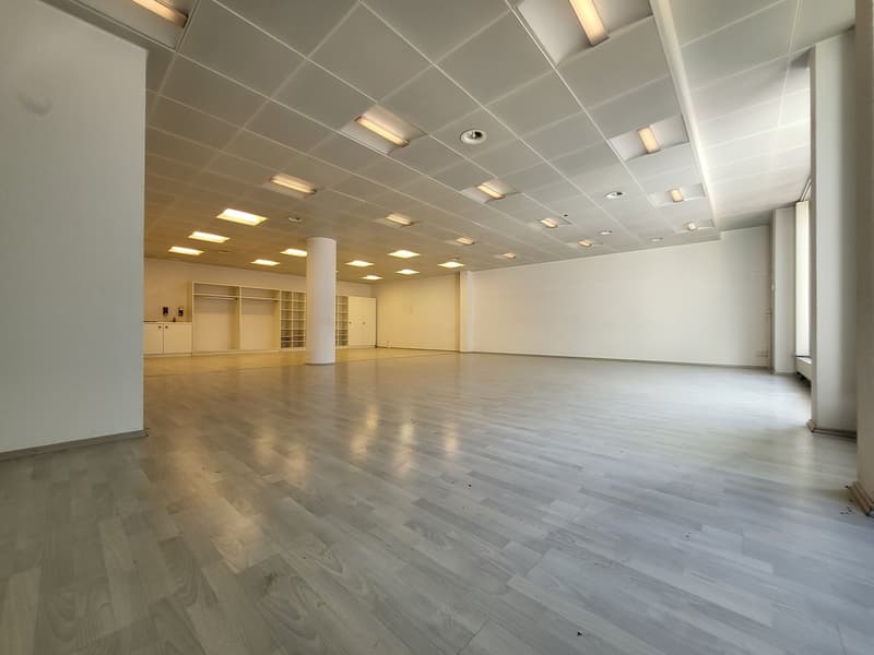 Large open space with hardwood flooring, recessed lighting in the ceiling, and built-in storage units along the walls.