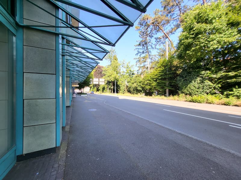 The image shows a street with a glass-covered walkway on one side. The walkway has a modern, angular design with a teal-colored glass roof supported by black metal frames. The street is paved with asphalt and there are trees lining the road, creating a gr