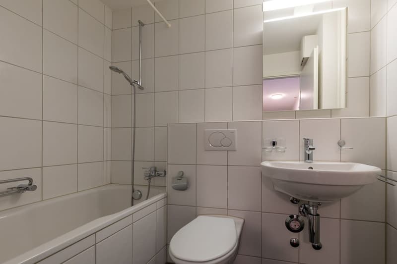 hübsche, zentral gelegene 3-Zimmer Wohnung per sofort zu vermieten. (5)