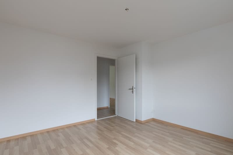 hübsche, zentral gelegene 3-Zimmer Wohnung per sofort zu vermieten. (7)