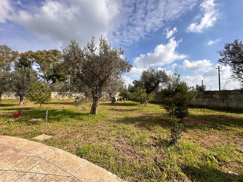 Splendida Villa con Piscina nel Cuore del Salento - Cursi (54)