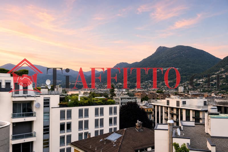 1.5 LOCALI: IL TUO MONOLOCALE DI CHARME NEL CUORE DI LUGANO (7)
