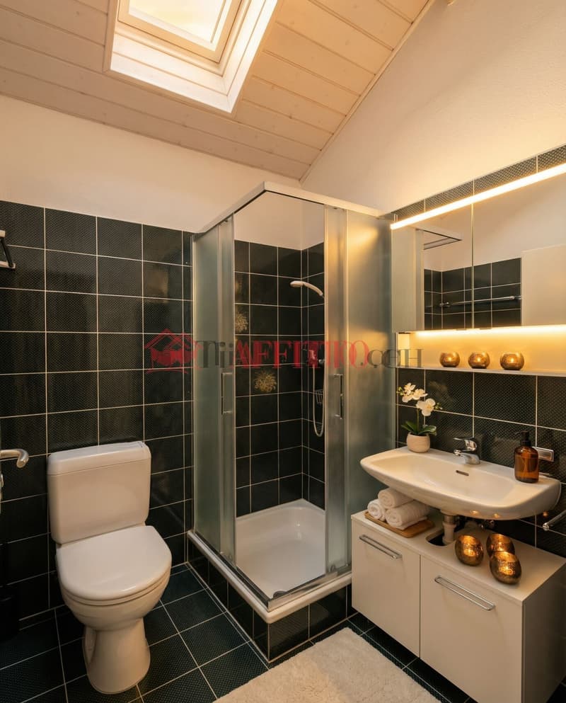 ELEGANTE MANSARDA 2.5 LOCALI NEL CUORE DI LUGANO (4)
