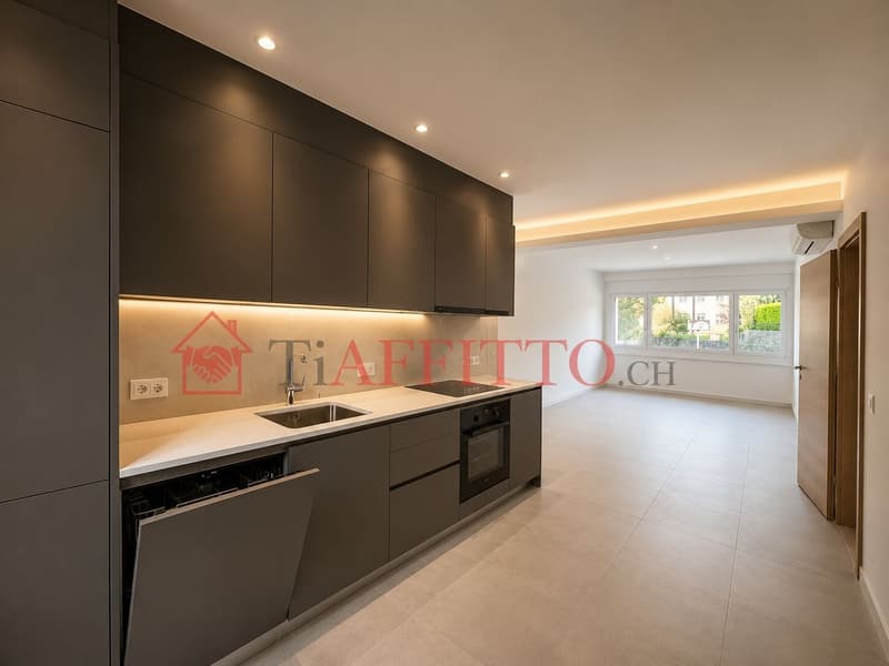MODERNO 3.5 A LUGANO-LORETO CON ARIA CONDIZIONATA (3)