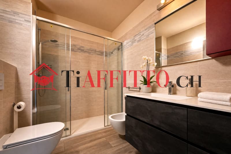 SPLENDIDO 4.5 LOCALI A LUGANO/MASSAGNO 140 MQ (3)