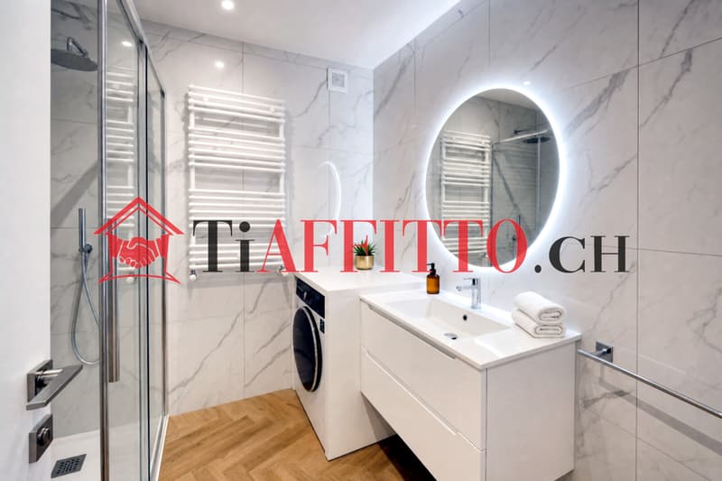 LUSSUOSO LOFT ARREDATO NEL CUORE DI LUGANO (8)