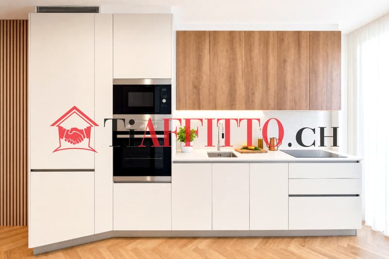 LUSSUOSO LOFT ARREDATO NEL CUORE DI LUGANO (4)