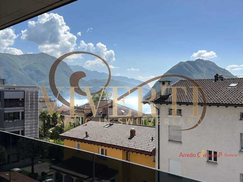 SPETTACOLARE 3.5 CON VISTA LAGO (2)