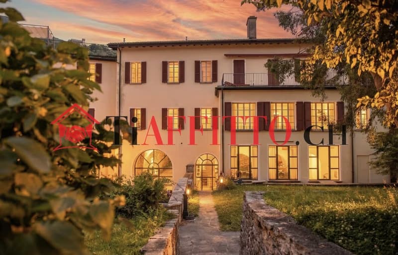 ENORME LOFT CON TERRAZZA VISTA SUI CASTELLI A BELLINZONA (7)