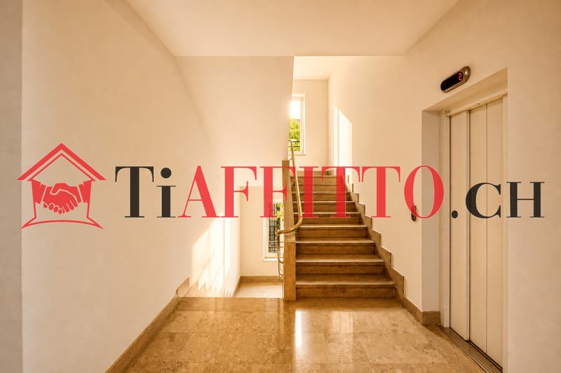 ROMANTICO 3.5 NEL CUORE BOHÃMIEN DI LUGANO (12)