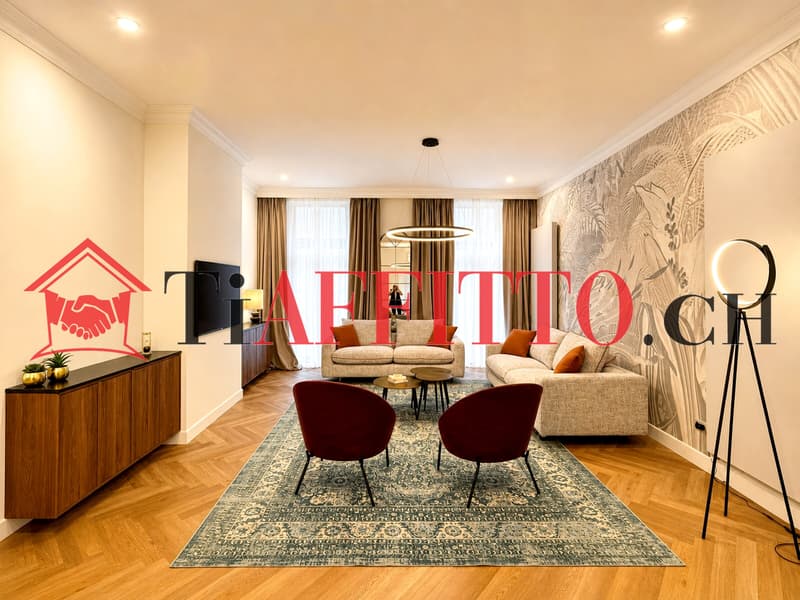 UN SOGNO CHIAMATO LUGANO, 3.5 ARREDATO IN CENTRO (4)