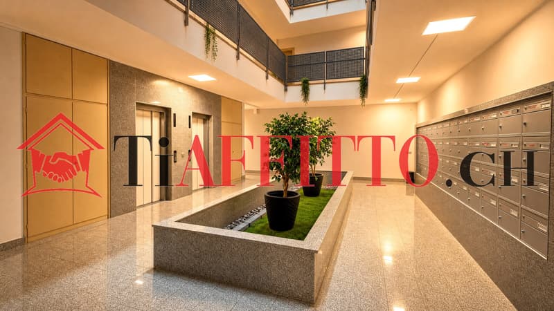 TRANQUILLITÃ E LUCE: 2.5 LOCALI AL SETTIMO PIANO A 850 CHF (8)