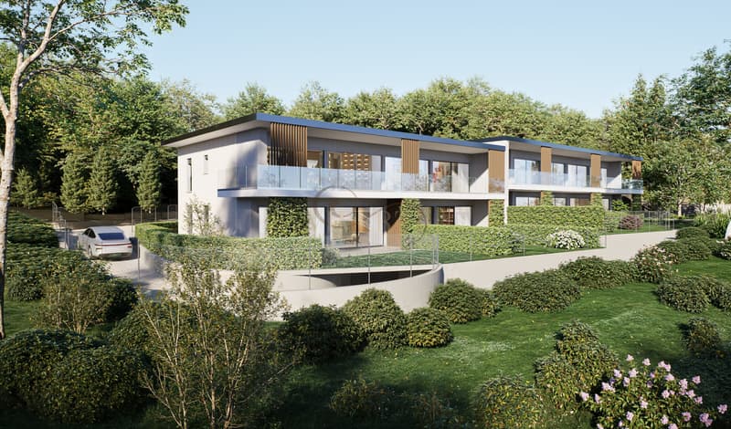 3.5 LOCALI CON GRANDE GIARDINO E VISTA LAGO A LUGANO (2)