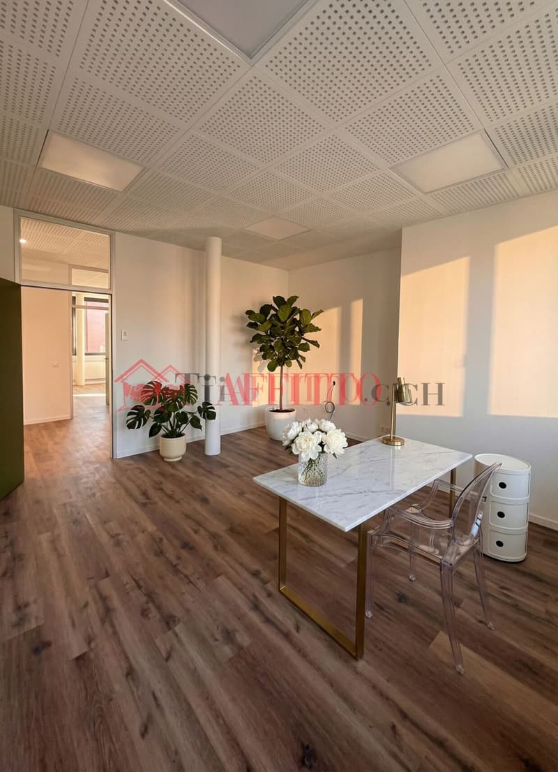 UFFICIO DI PRESTIGIO COMPLETAMENTE RISTRUTTURATO (4)