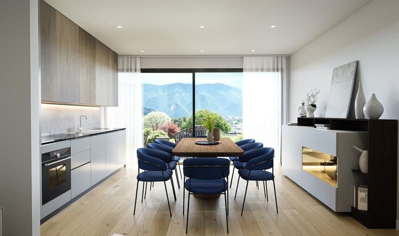 DUPLEX CON GIARDINO LUGANO (9)