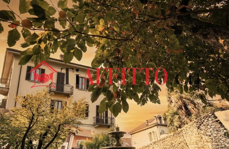 ENORME LOFT CON TERRAZZA VISTA SUI CASTELLI A BELLINZONA (9)