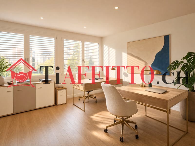GRANDE UFFICIO A LUGANO/VIGANELLO (3)