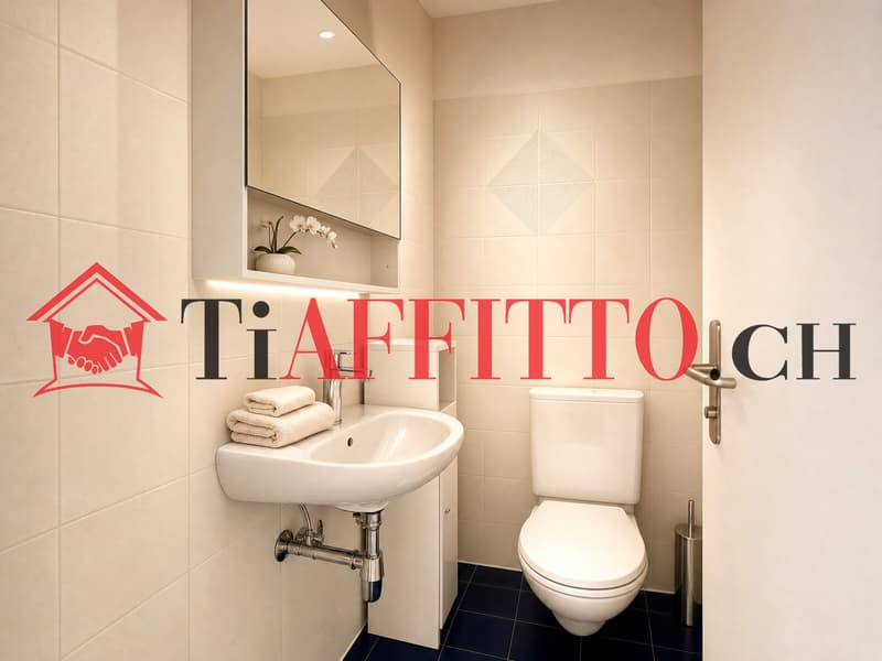 GRANDE UFFICIO A LUGANO/VIGANELLO (6)