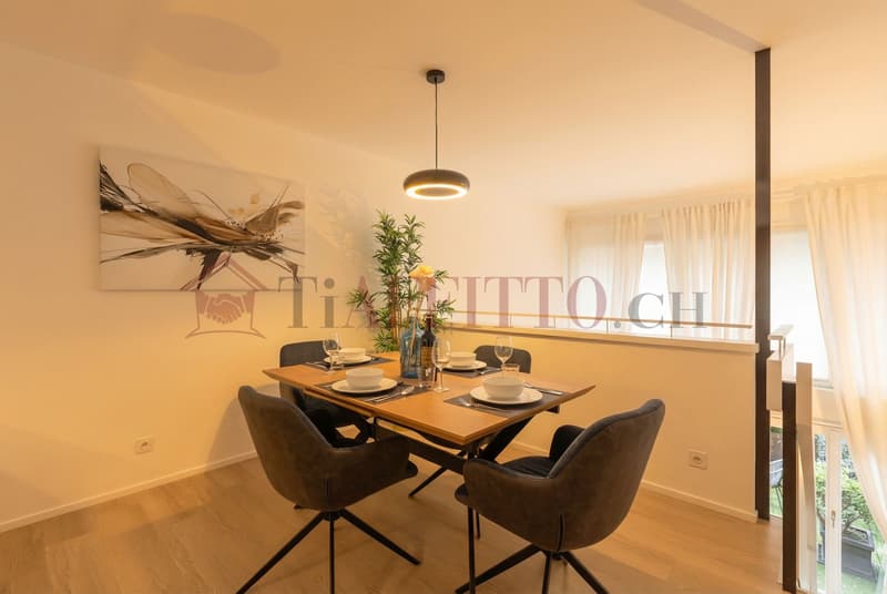 SPLENDIDO DUPLEX CON GIARDINO NEL CUORE DI LUGANO (3)