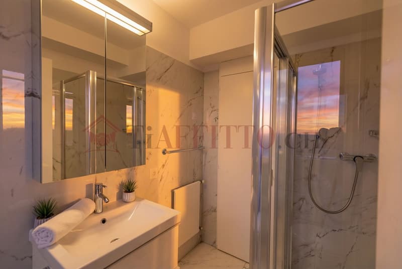SPLENDIDO DUPLEX CON GIARDINO NEL CUORE DI LUGANO (11)