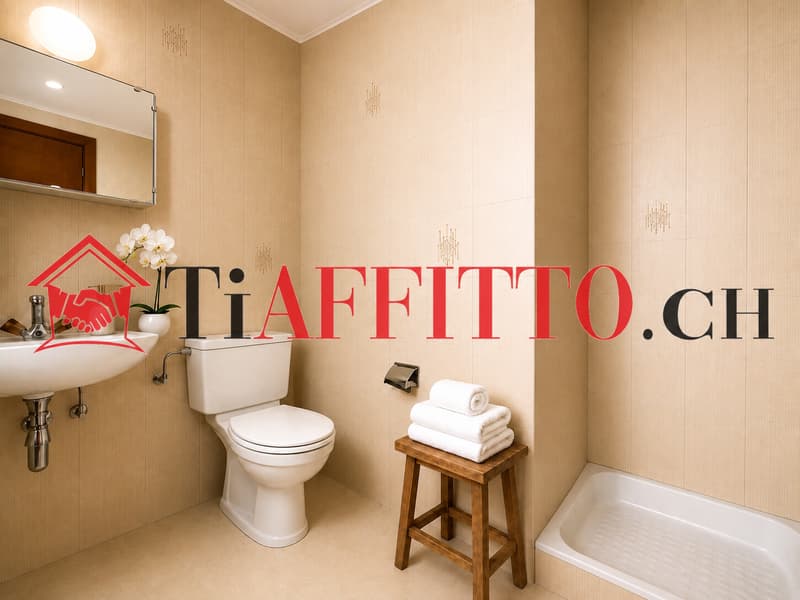 ECONOMICO 1.5 A MORBIO RINNOVATO (2)