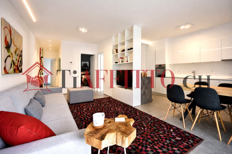 BELLINZONA SEMINE: MODERNO 3.5 LOCALI ARREDATO (2)