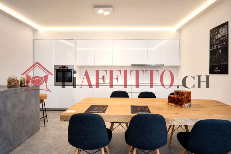 BELLINZONA SEMINE: MODERNO 3.5 LOCALI ARREDATO (3)