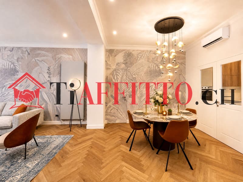 UN SOGNO CHIAMATO LUGANO, 3.5 ARREDATO IN CENTRO (4)
