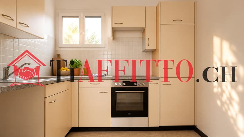 3.5 COMPLETAMENTE RISTRUTTURATO A LUGANO/MASSAGNO (1)