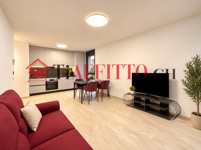 NUOVO 2.5 LOCALI CON GRANDE TERRAZZA A LUGANO SORENGO (5)