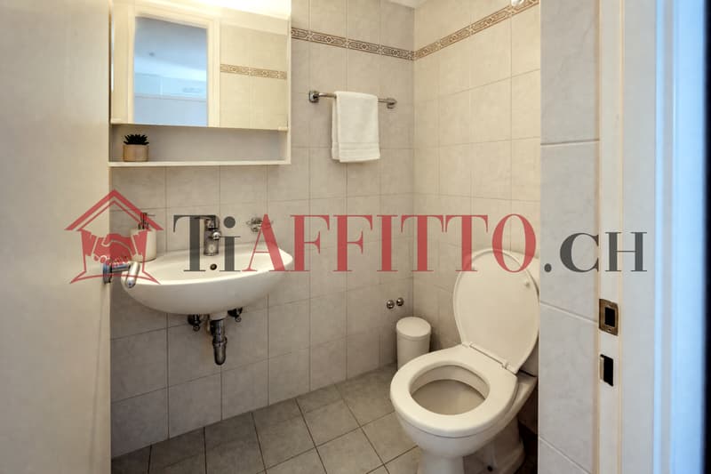 3.5 LOCALI ARREDATO A BELLINZONA NORD (6)