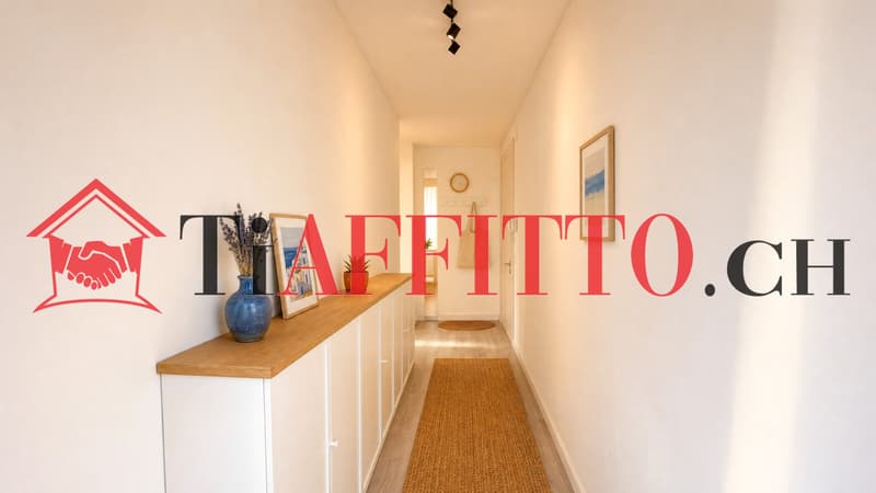 TRANQUILLITÃ E LUCE: 2.5 LOCALI AL SETTIMO PIANO A 850 CHF (1)