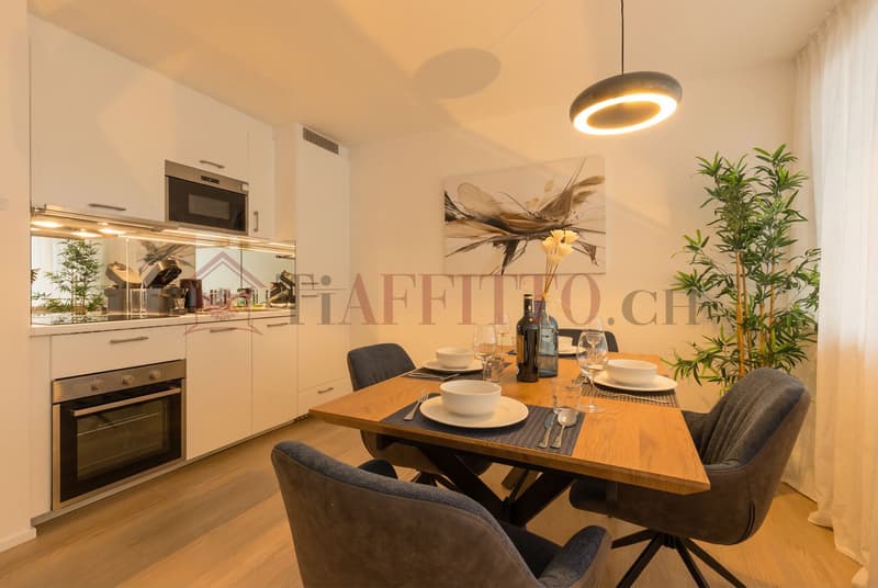 SPLENDIDO DUPLEX CON GIARDINO NEL CUORE DI LUGANO (5)