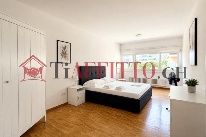 3.5 LOCALI ARREDATO A BELLINZONA NORD (1)