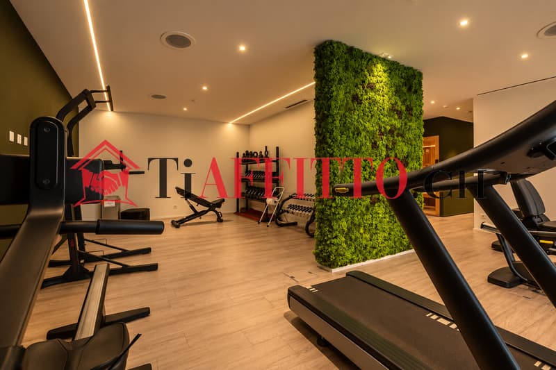 SAUNA E PALESTRA NEL TUO NUOVO 2.5 LOCALI A MASSAGNO (5)