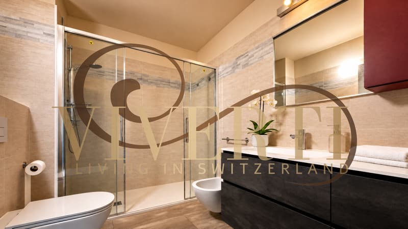 4.5 LOCALI A MENO DI 6000 CHF AL MQ, LUGANO/MASSAGNO 140 MQ (9)