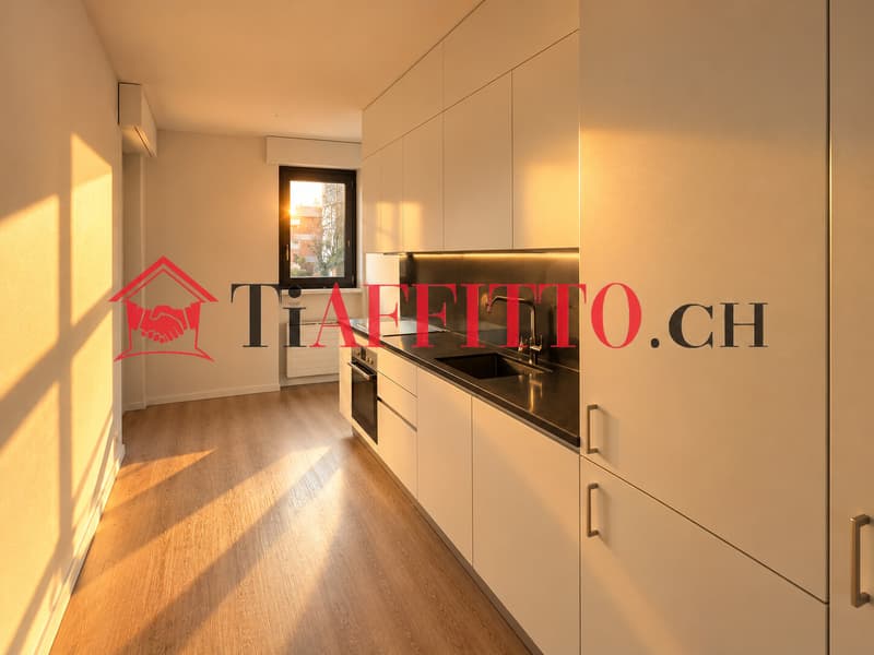 3.5 LOCALI SOLEGGIATO CON TERRAZZA A PONTE CAPRIASCA (4)