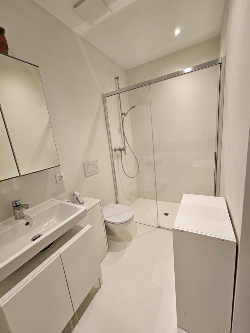 Appartamento 2.5 locali vista lago (19)