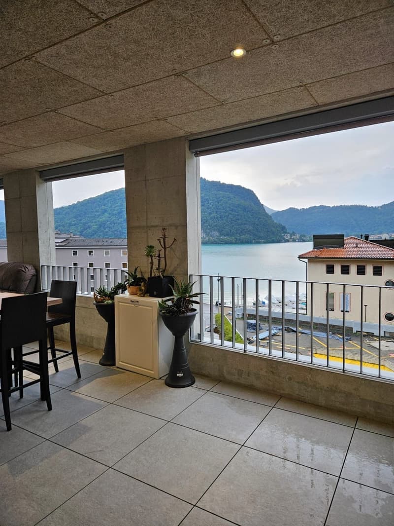 Appartamento 2.5 locali vista lago (7)