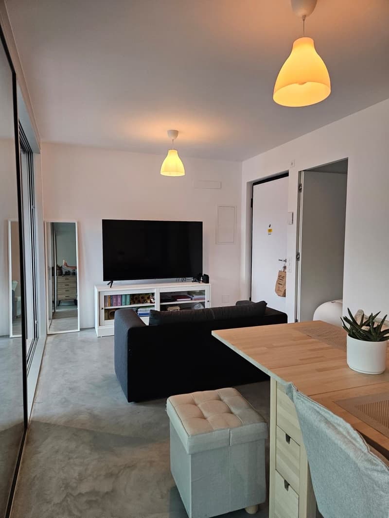 Appartamento 2.5 locali vista lago (13)